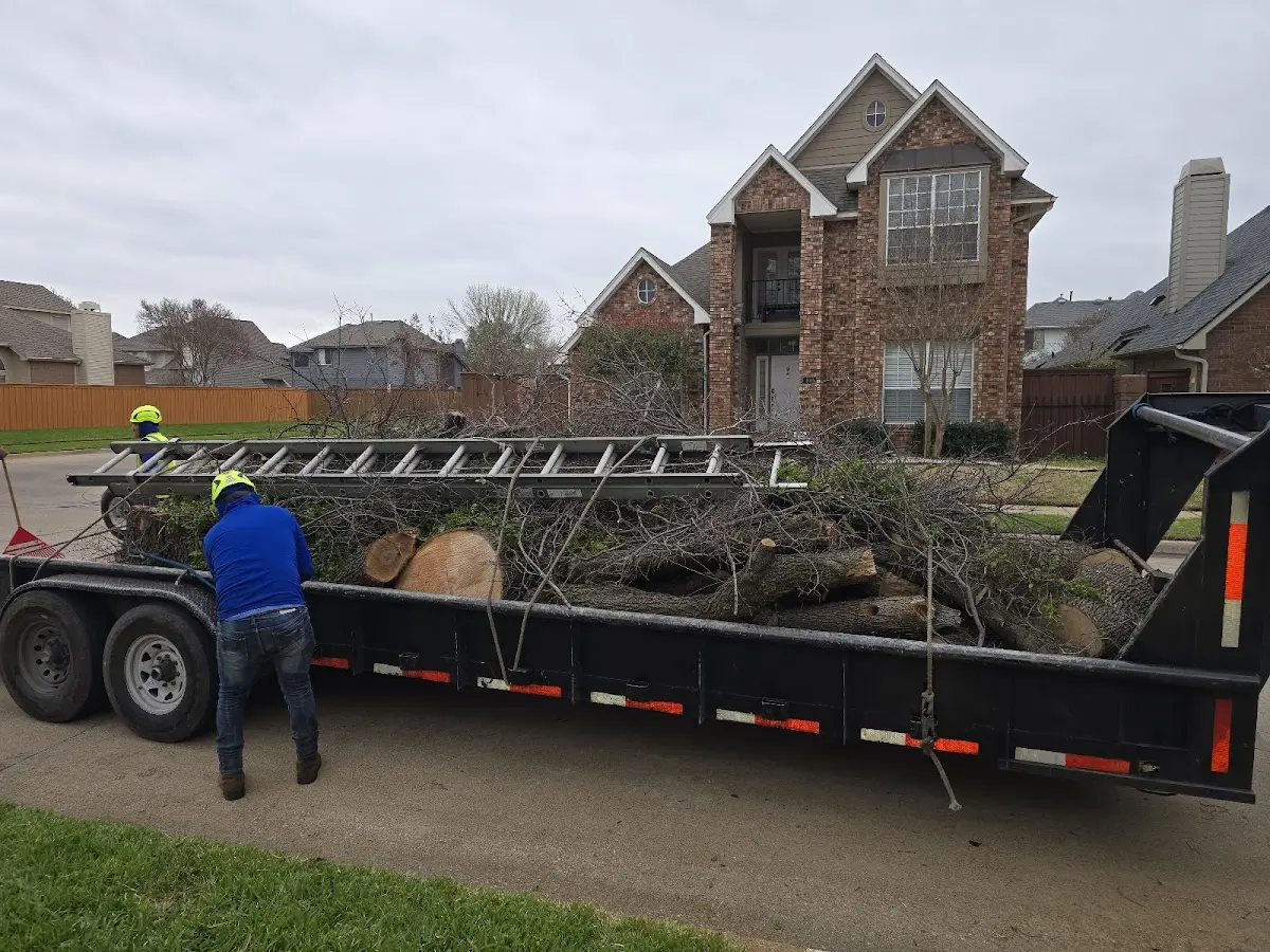 Expert Lot Clearing with proper safety equipment in Tetonia